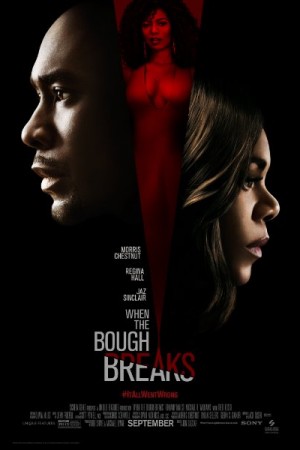 Rent When the Bough Breaks Online