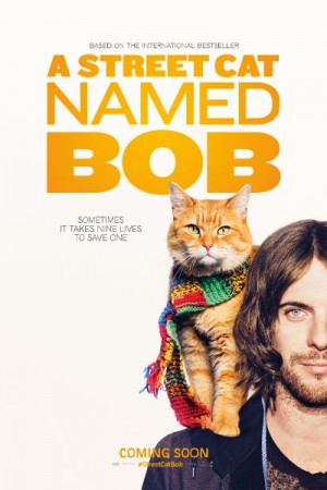 Rent A street Cat named Bob Online