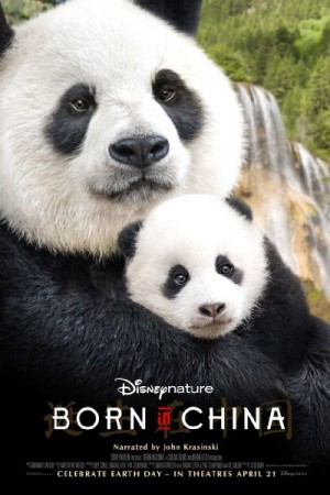 Rent Born in China Online