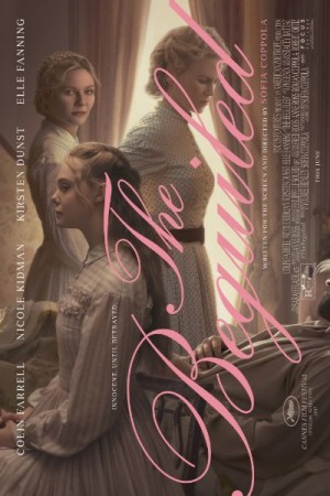 Rent The Beguiled Online