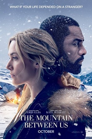 Rent The Mountain Between Us Online