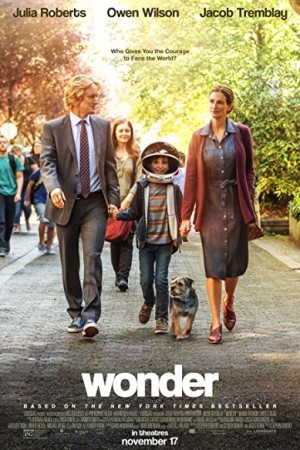 Rent Wonder Online