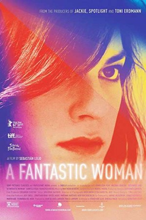 Rent A Fantastic Woman Online