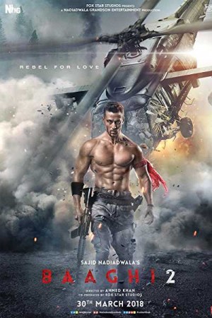 Rent Baaghi 2 Online