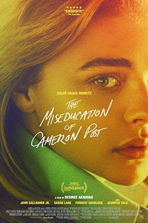 Rent The Miseducation of Cameron Post Online