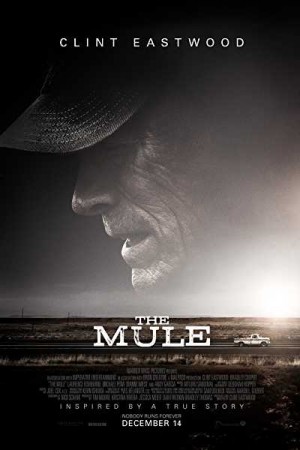 Rent The Mule Online