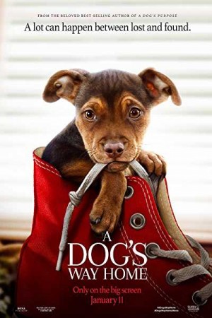 Rent A Dog’s Way Home Online