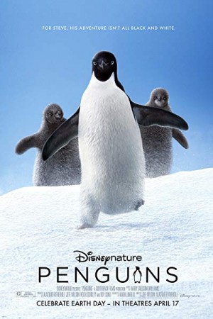 Rent Penguins Online