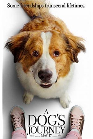 Rent A Dog’s Journey Online