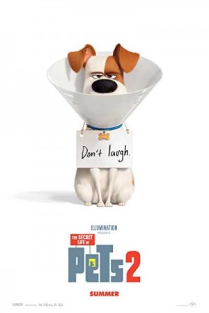 Rent The Secret Life of Pets 2 Online