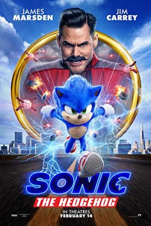 Rent Sonic the Hedgehog Online