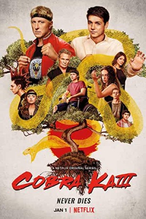 Rent Cobra Kai Season 3 Online